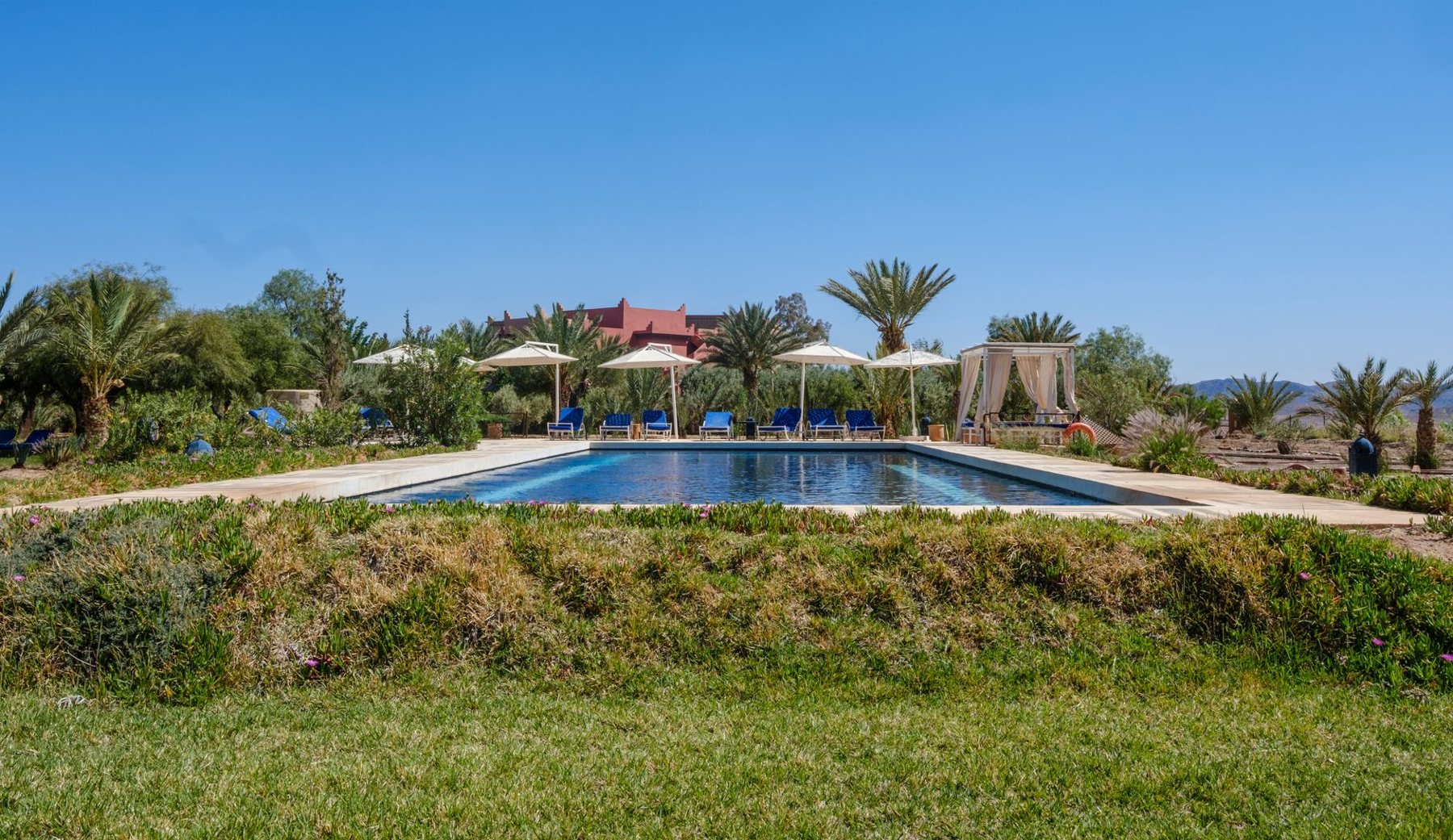 Backyard Design & Remodels in Surprise AZ