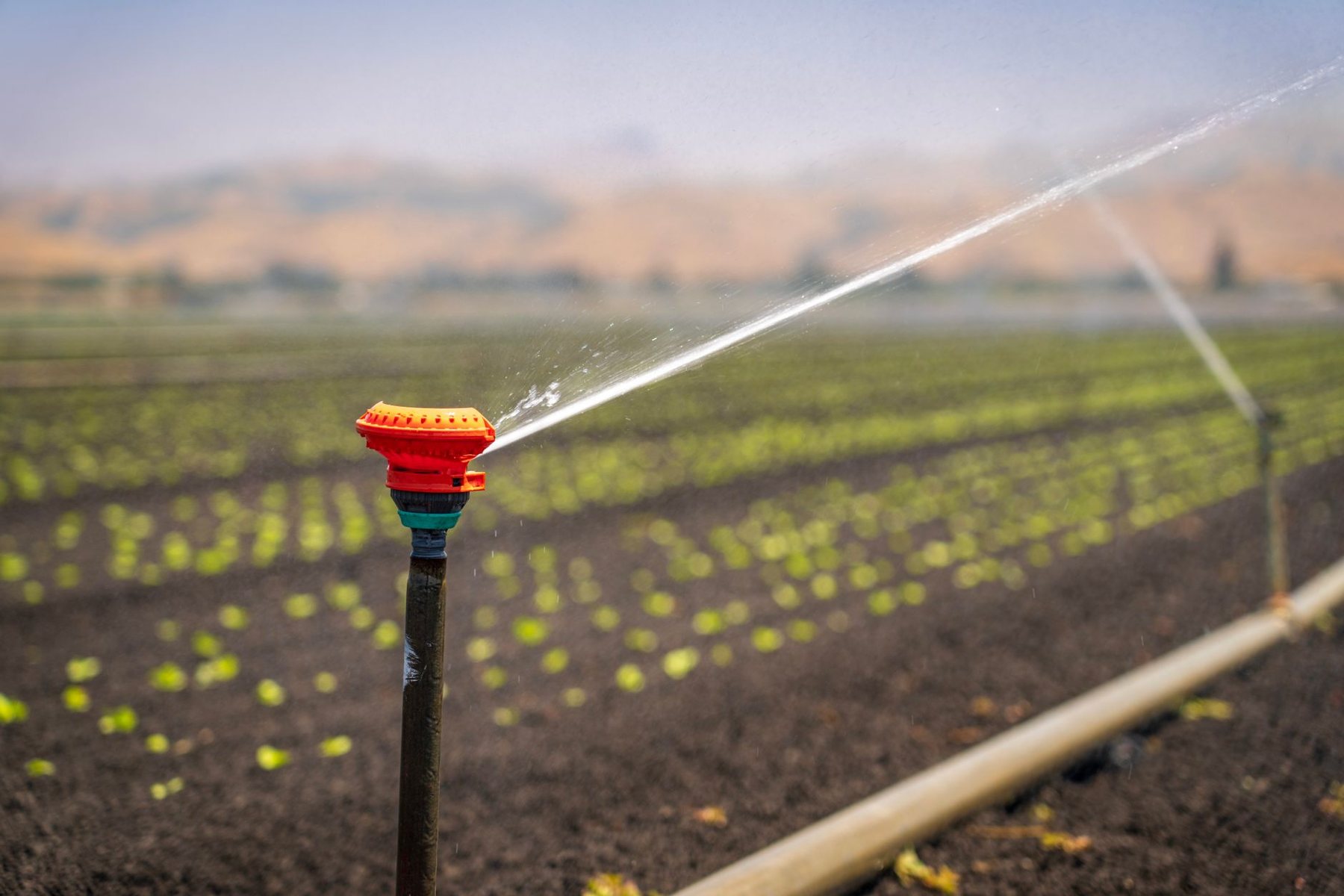 Irrigation & Drip Systems in Surprise AZ