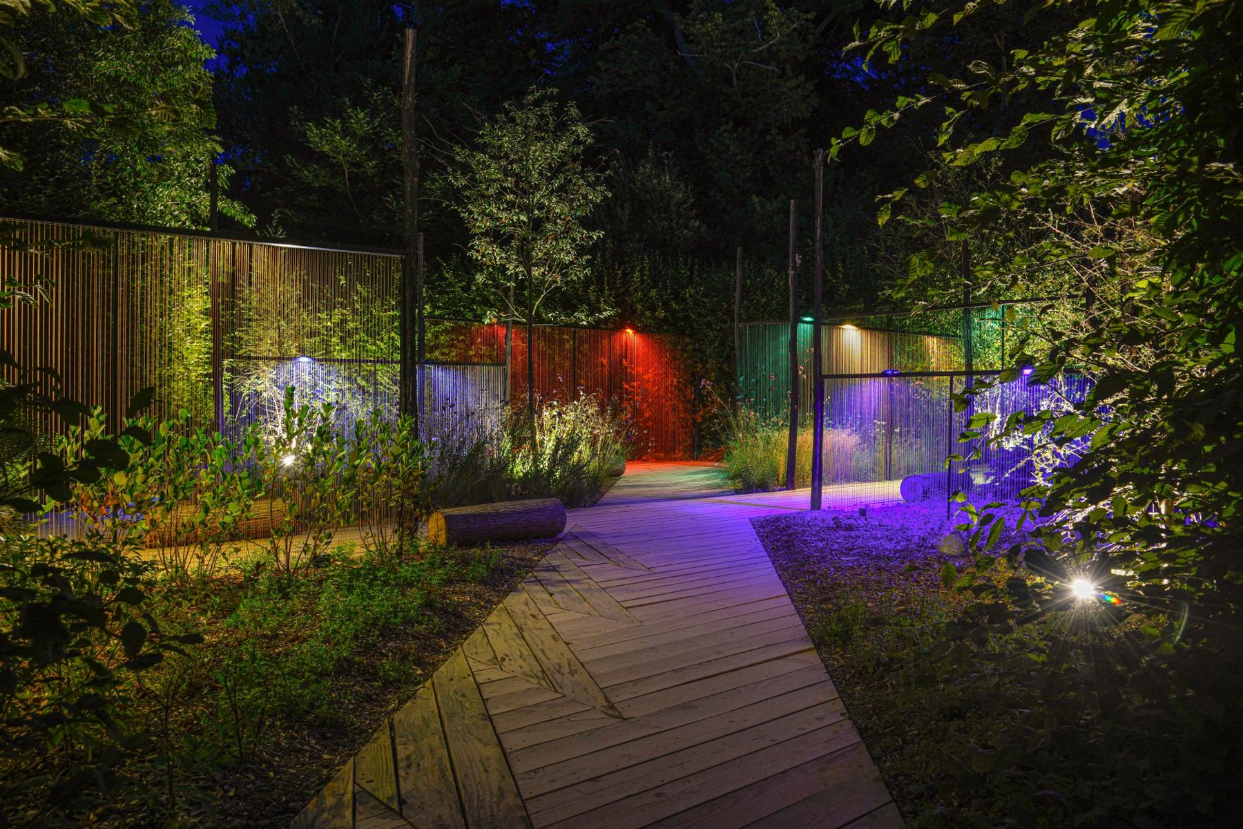 Landscape lighting at dusk in Surprise, AZ